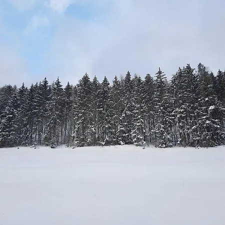 Апартаменты Fewo-Zum-Kuehlen-Grund *