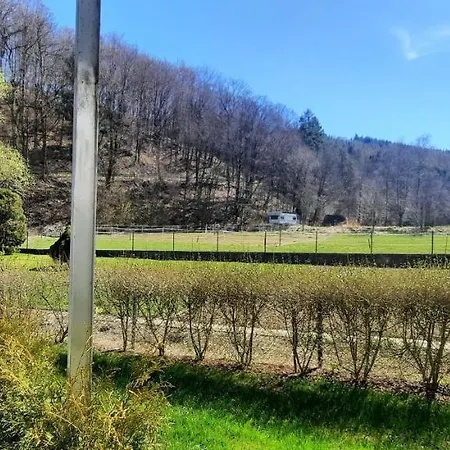 Fewo-Zum-Kuehlen-Grund * Виллинген